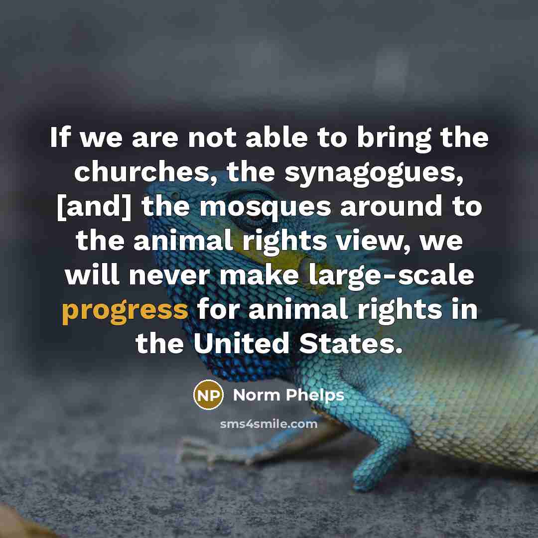 “If we are not able to bring the churches, the synagogues, [and] the mosques around to the animal rights view, we will never make large-scale progress for animal rights in the United States.” quote by Norm Phelps