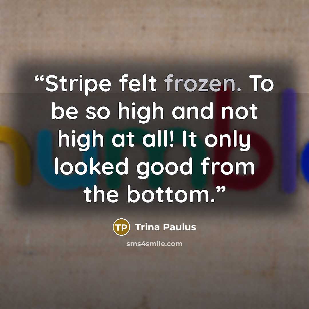 “Stripe felt frozen. To be so high and not high at all! It only looked good from the bottom.” quote by Trina Paulus