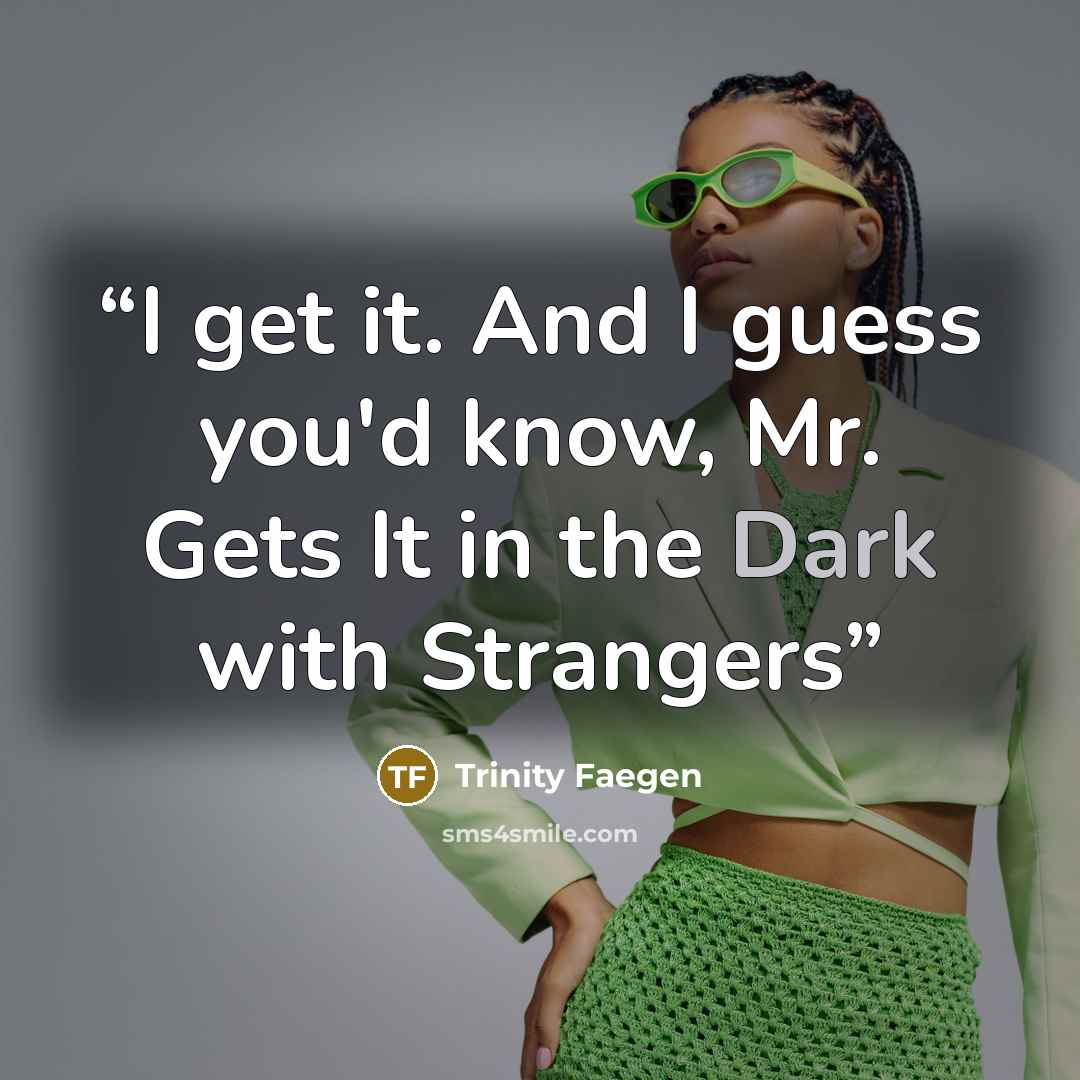 “I get it. And I guess you'd know, Mr. Gets It in the Dark with Strangers” quote by Trinity Faegen
