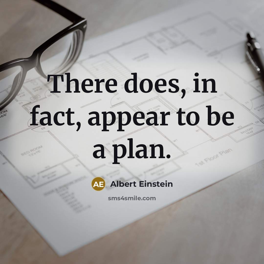 “There does, in fact, appear to be a plan.” quote by Albert Einstein