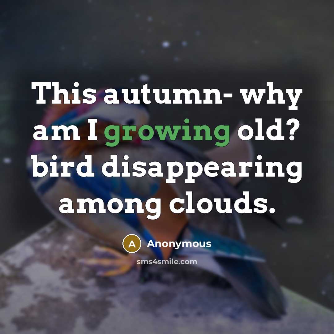 “This autumn- why am I growing old? bird disappearing among clouds.” quote by Anonymous