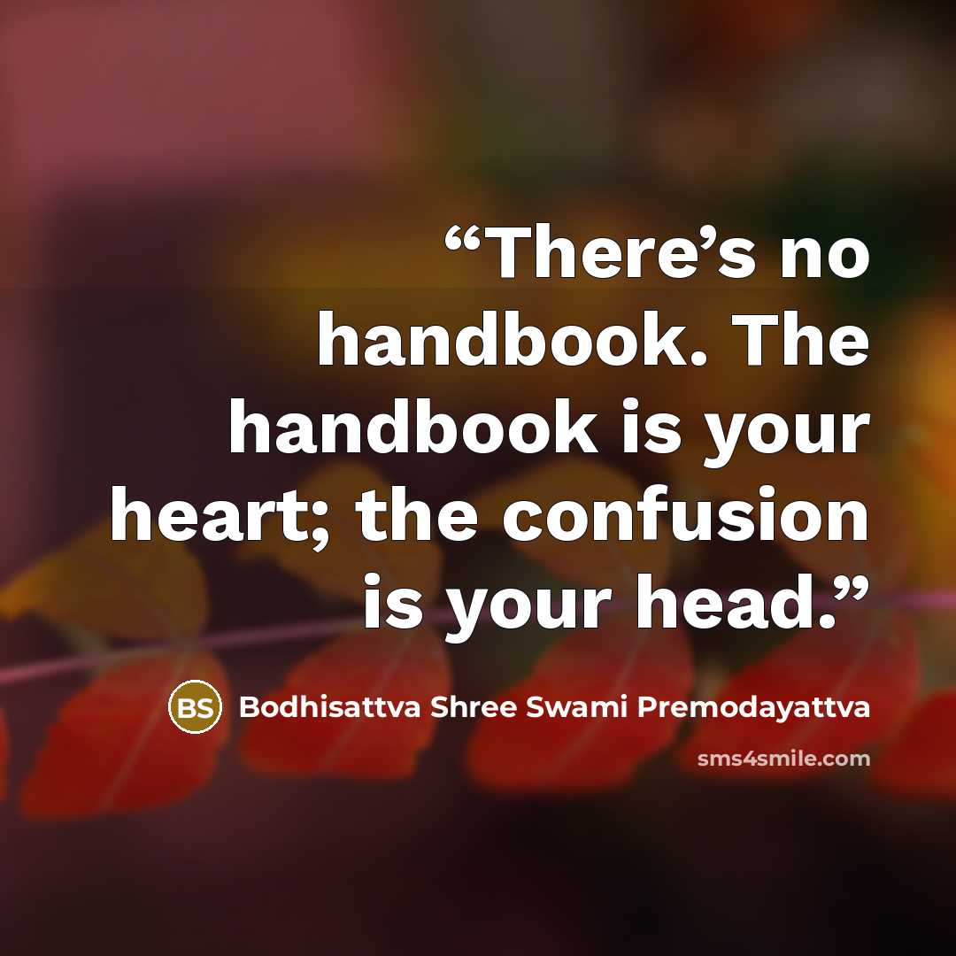“There’s no handbook. The handbook is your heart; the confusion is your head.” quote by Bodhisattva Shree Swami Premodayattva