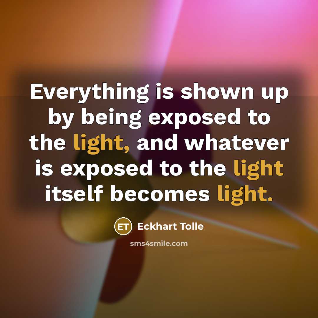 “Everything is shown up by being exposed to the light, and whatever is exposed to the light itself becomes light.” quote by Eckhart Tolle