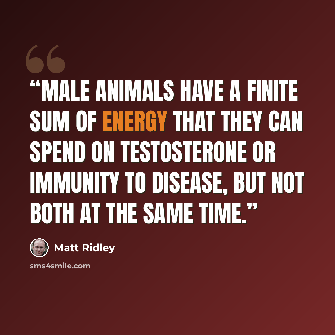 “male animals have a finite sum of energy that they can spend on testosterone or immunity to disease, but not both at the same time.” quote by Matt Ridley