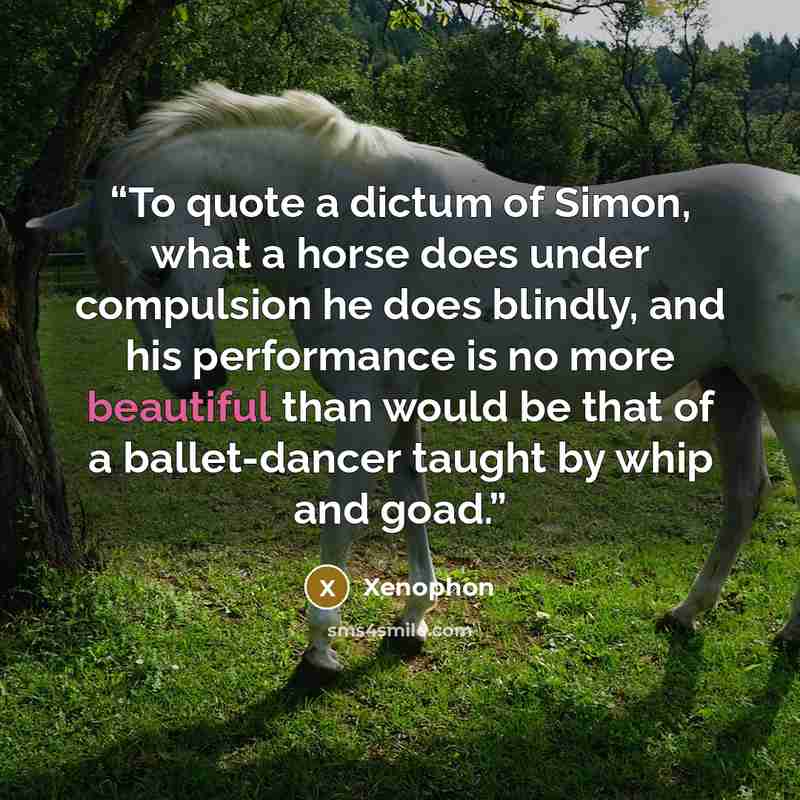 “To quote a dictum of Simon, what a horse does under compulsion he does blindly, and his performance is no more beautiful than would be that of a ballet-dancer taught by whip and goad.” quote by Xenophon