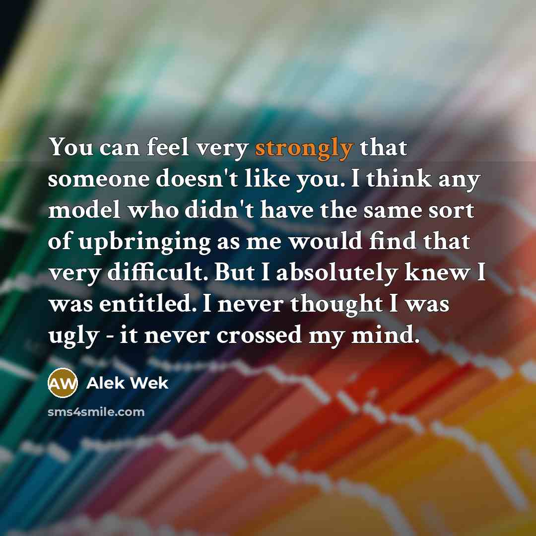 “You can feel very strongly that someone doesn't like you. I think any model who didn't have the same sort of upbringing as me would find that very difficult. But I absolutely knew I was entitled. I never thought I was ugly - it never crossed my mind.” quote by Alek Wek