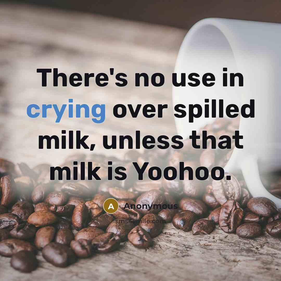 “There's no use in crying over spilled milk, unless that milk is Yoohoo.” quote by Anonymous