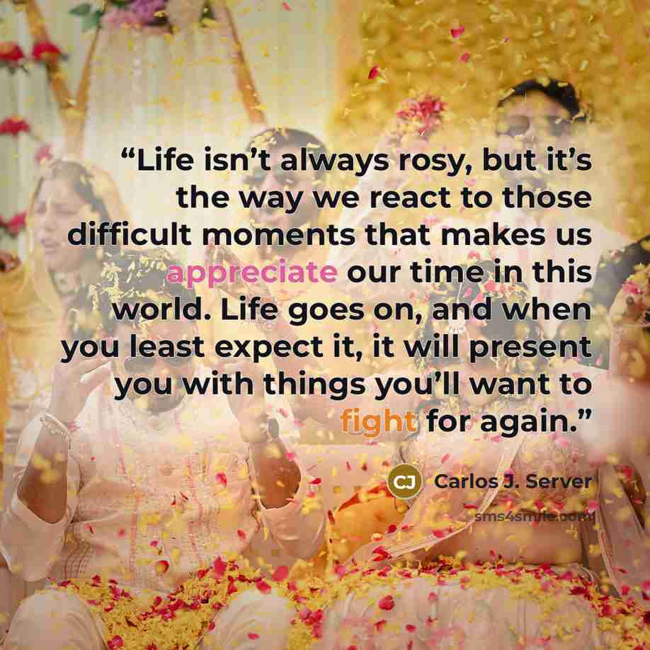 “Life isn’t always rosy, but it’s the way we react to those difficult moments that makes us appreciate our time in this world. Life goes on, and when you least expect it, it will present you with things you’ll want to fight for again.” quote by Carlos J. Server