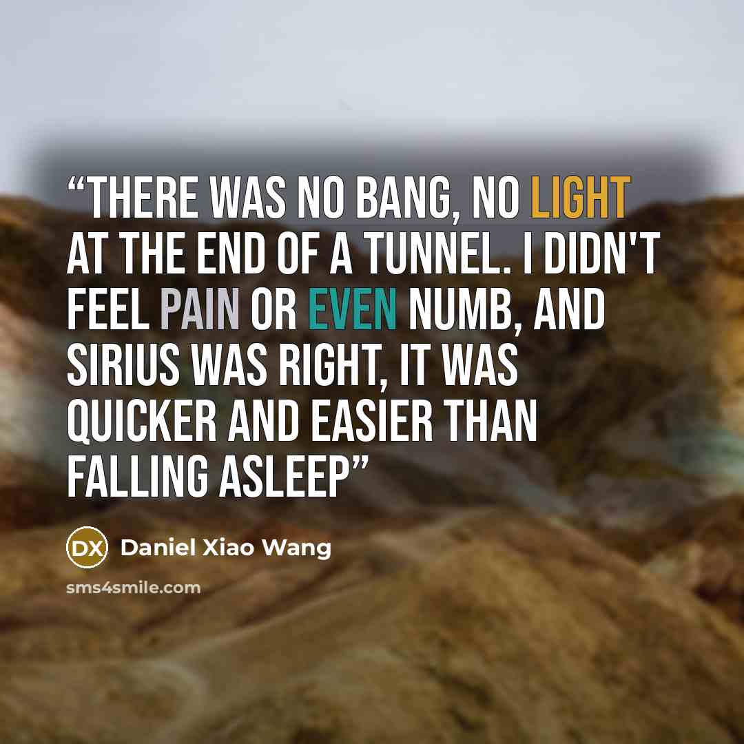“There was no bang, no light at the end of a tunnel. I didn't feel pain or even numb, and Sirius was right, it was quicker and easier than falling asleep” quote by Daniel Xiao Wang