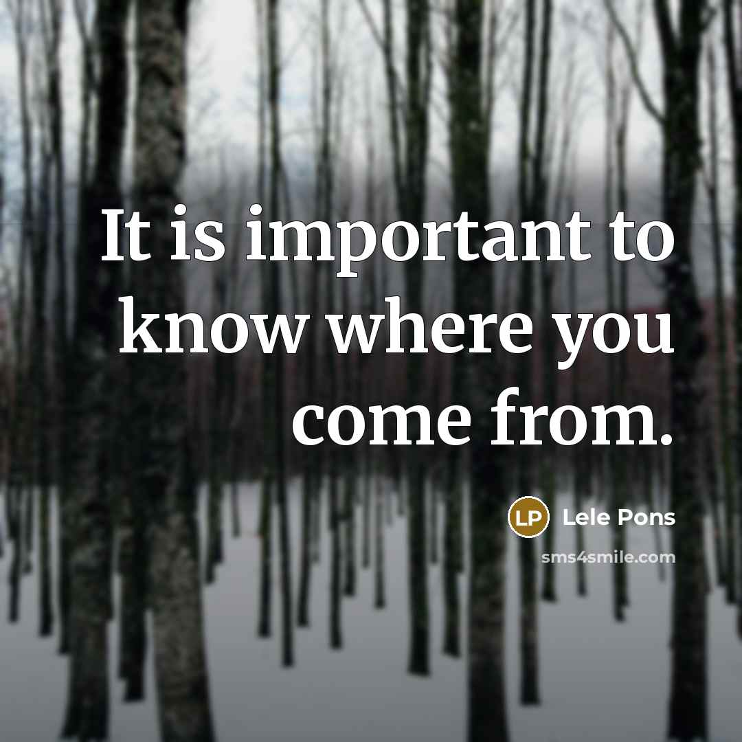 “It is important to know where you come from.” quote by Lele Pons