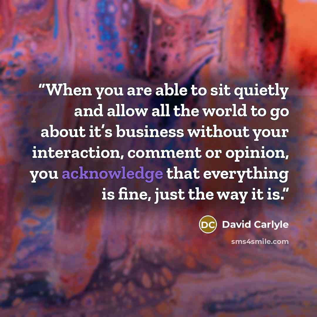 “When you are able to sit quietly and allow all the world to go about it’s business without your interaction, comment or opinion, you acknowledge that everything is fine, just the way it is.” quote by David Carlyle