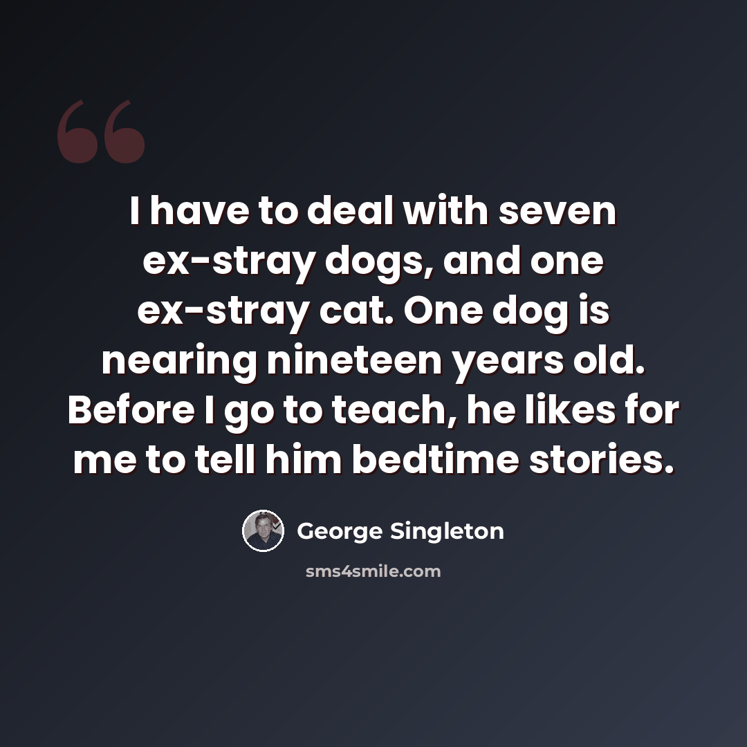 “I have to deal with seven ex-stray dogs, and one ex-stray cat. One dog is nearing nineteen years old. Before I go to teach, he likes for me to tell him bedtime stories.” quote by George Singleton