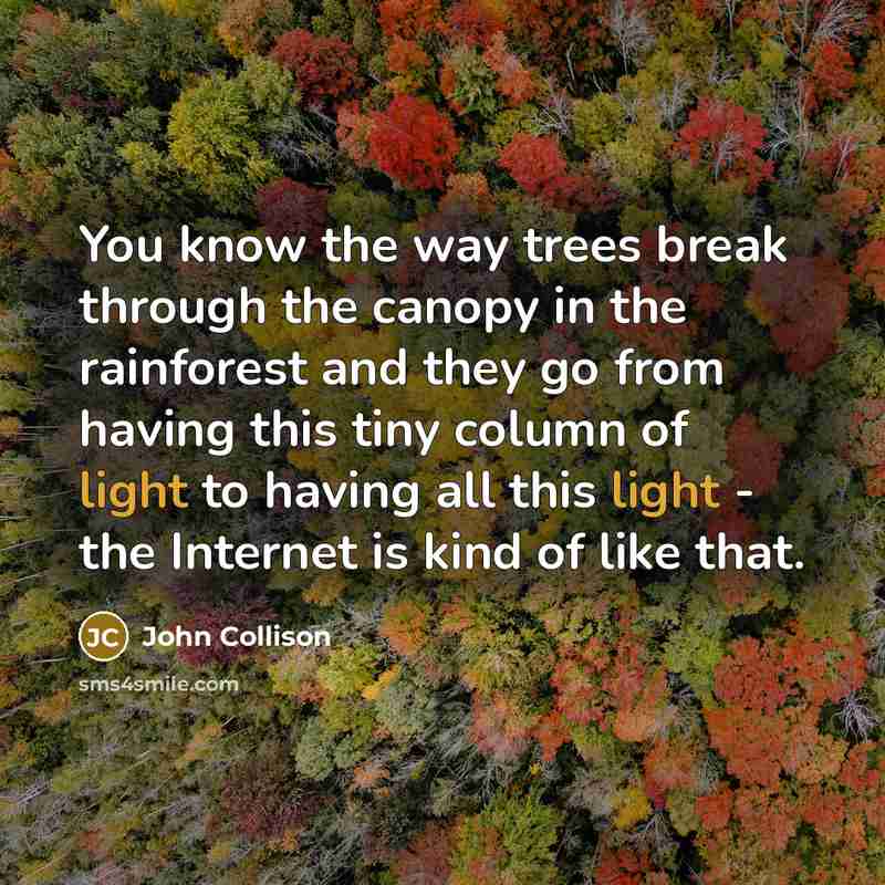 “You know the way trees break through the canopy in the rainforest and they go from having this tiny column of light to having all this light - the Internet is kind of like that.” quote by John Collison