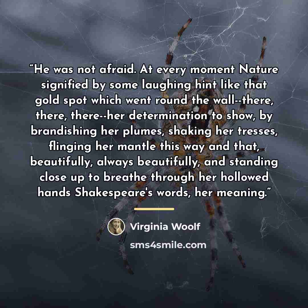 “He was not afraid. At every moment Nature signified by some laughing hint like that gold spot which went round the wall--there, there, there--her determination to show, by brandishing her plumes, shaking her tresses, flinging her mantle this way and that, beautifully, always beautifully, and…” quote by Virginia Woolf