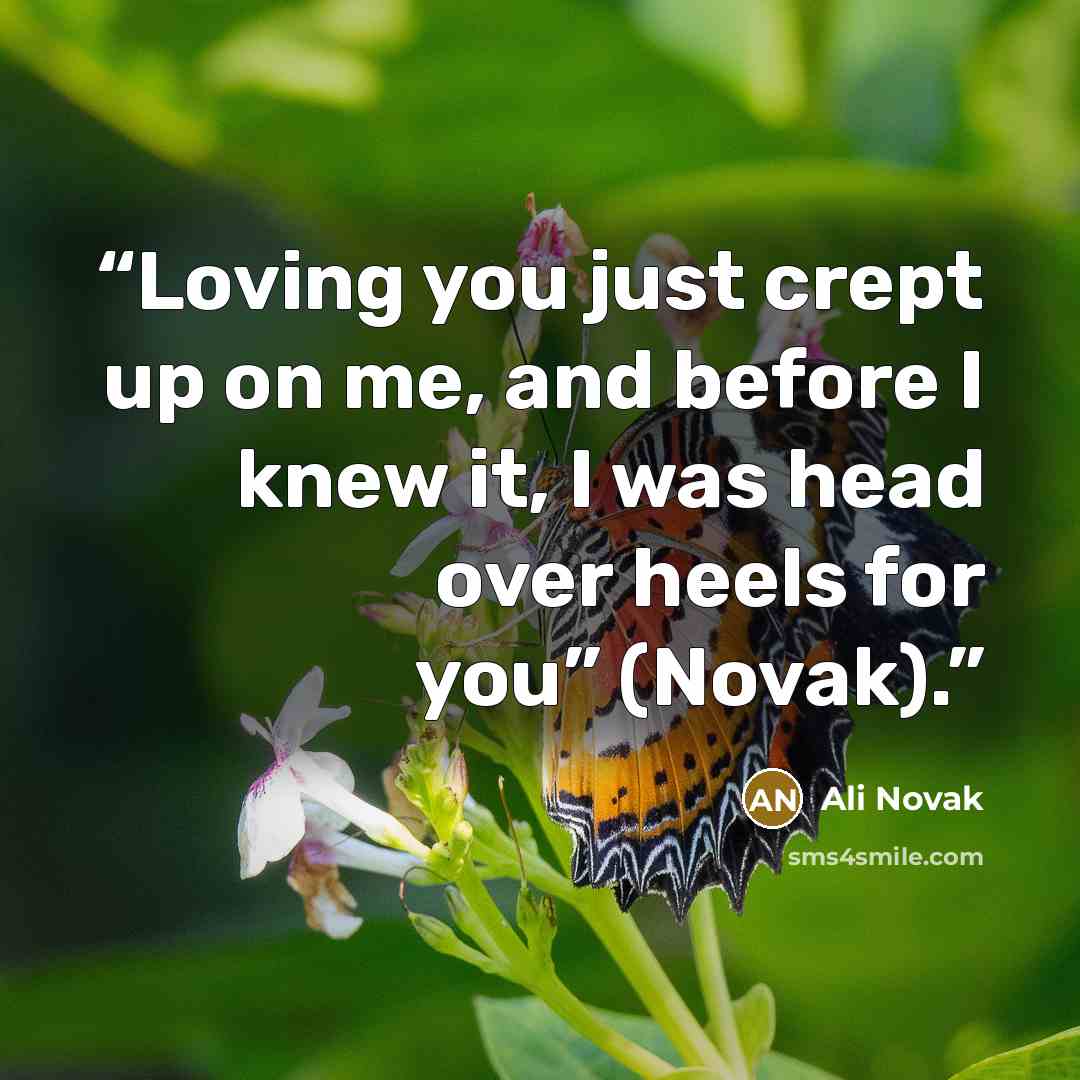 “Loving you just crept up on me, and before I knew it, I was head over heels for you” (Novak).” quote by Ali Novak
