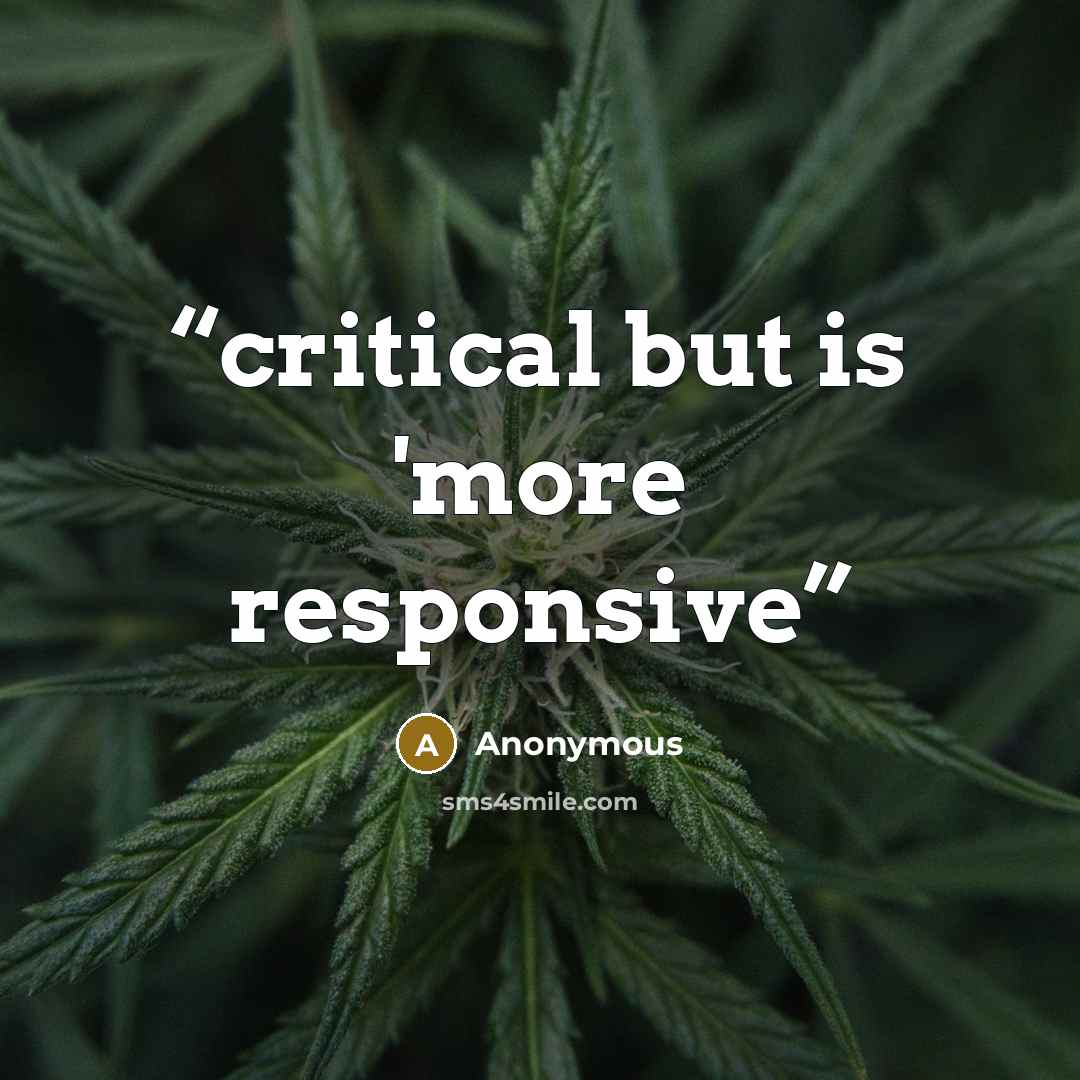 “critical but is 'more responsive” quote by Anonymous