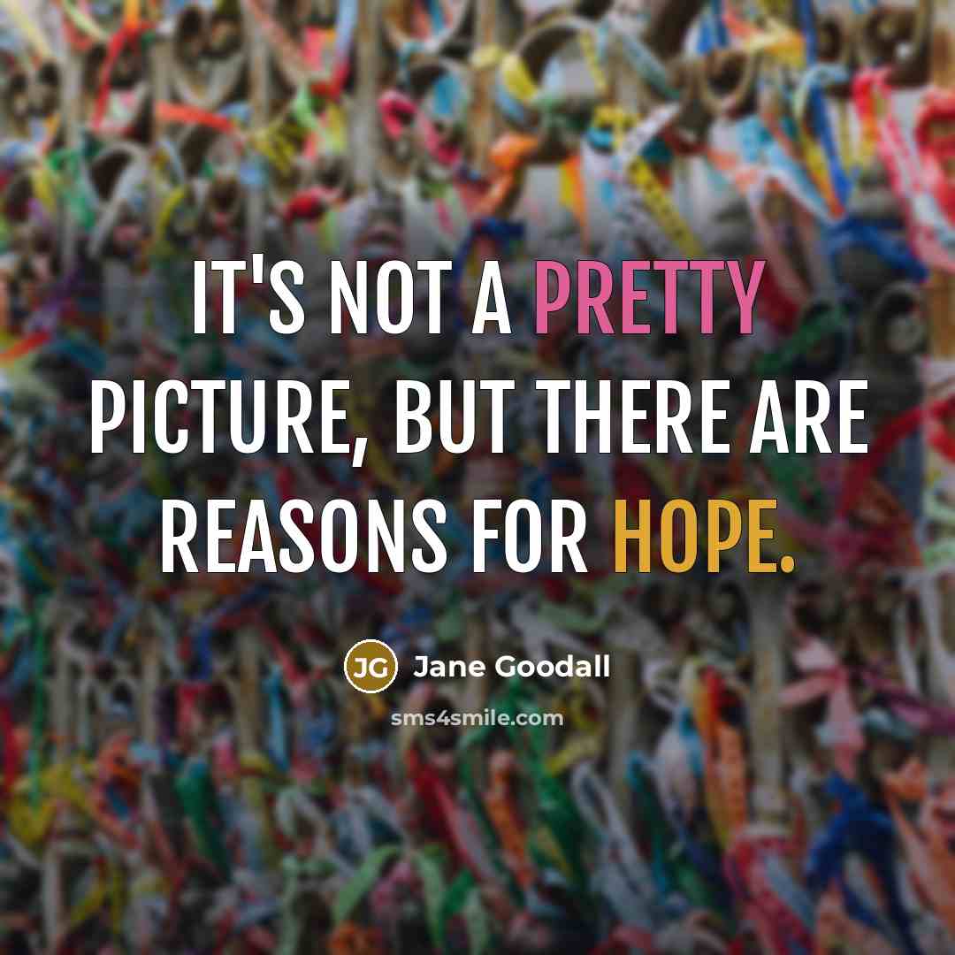 “It's not a pretty picture, but there are reasons for hope.” quote by Jane Goodall