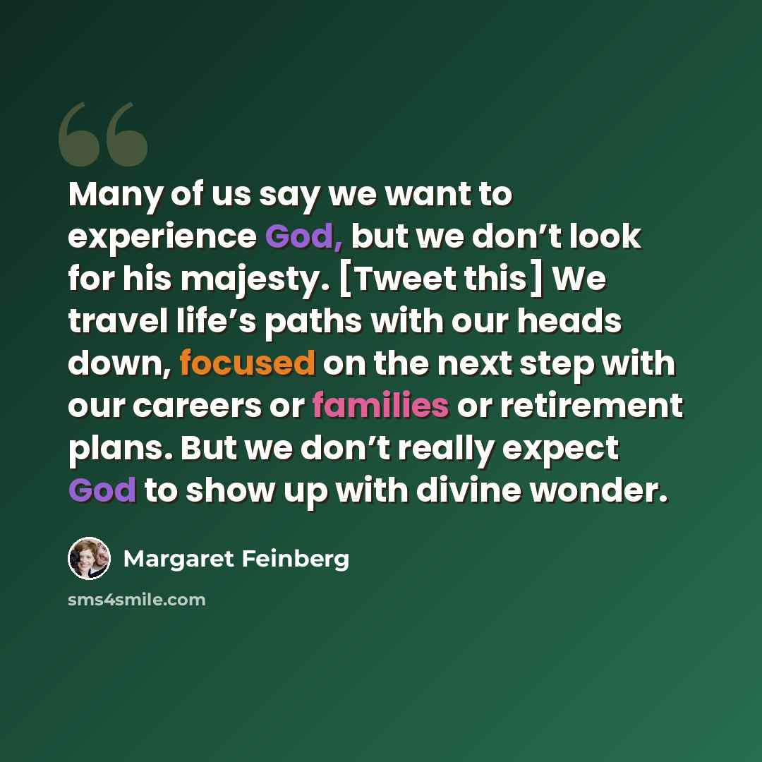“Many of us say we want to experience God, but we don’t look for his majesty. [Tweet this] We travel life’s paths with our heads down, focused on the next step with our careers or families or retirement plans. But we don’t really expect God to show up with divine wonder.” quote by Margaret Feinberg