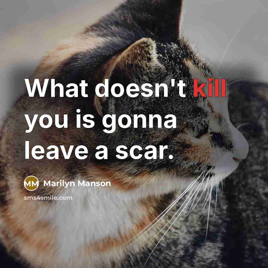 “What doesn't kill you is gonna leave a scar.” quote by Marilyn Manson