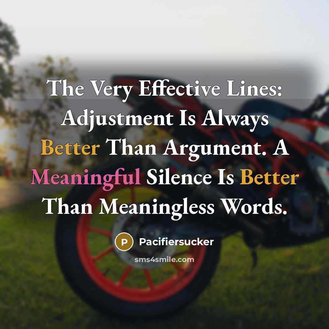 “The Very Effective Lines: Adjustment Is Always Better Than Argument. A Meaningful Silence Is Better Than Meaningless Words.” quote by Pacifiersucker