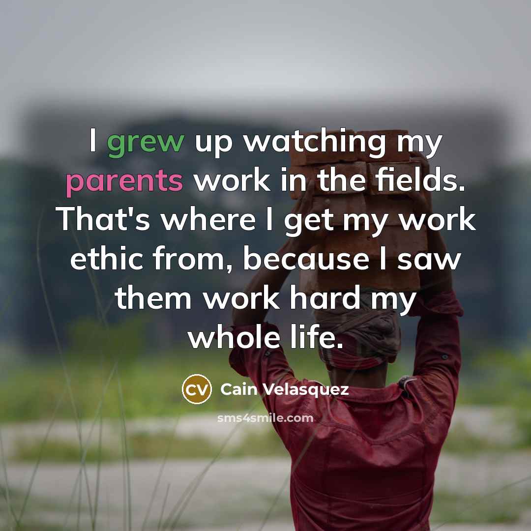“I grew up watching my parents work in the fields. That's where I get my work ethic from, because I saw them work hard my whole life.” quote by Cain Velasquez