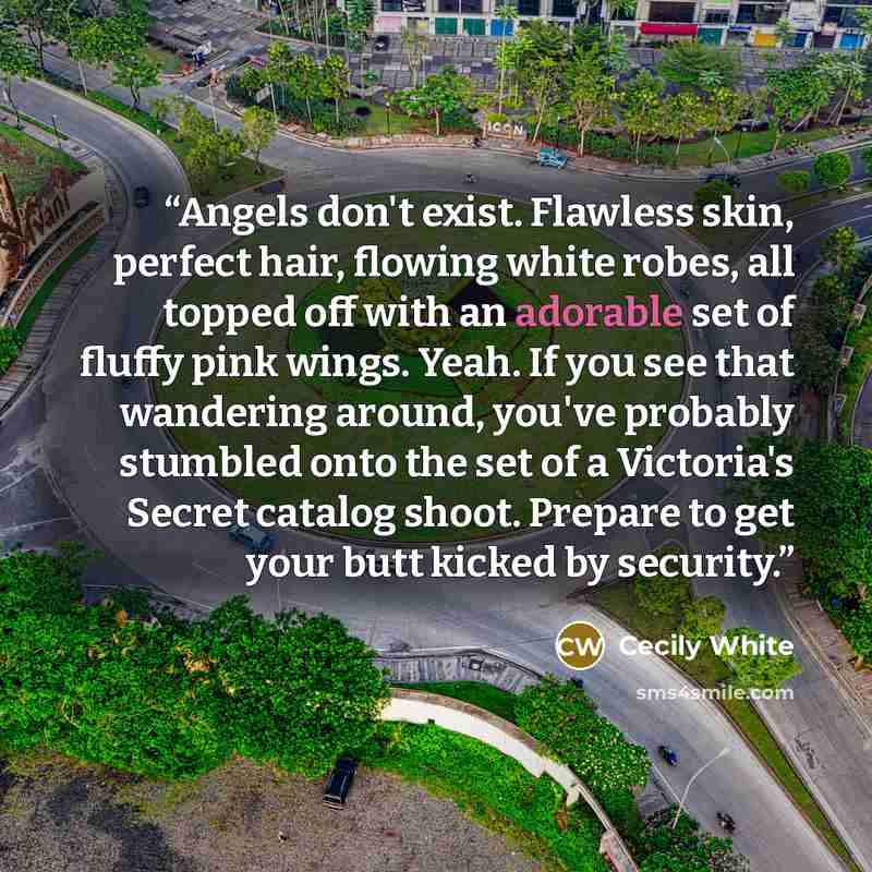 “Angels don't exist. Flawless skin, perfect hair, flowing white robes, all topped off with an adorable set of fluffy pink wings. Yeah. If you see that wandering around, you've probably stumbled onto the set of a Victoria's Secret catalog shoot. Prepare to get your butt kicked by security.” quote by Cecily White