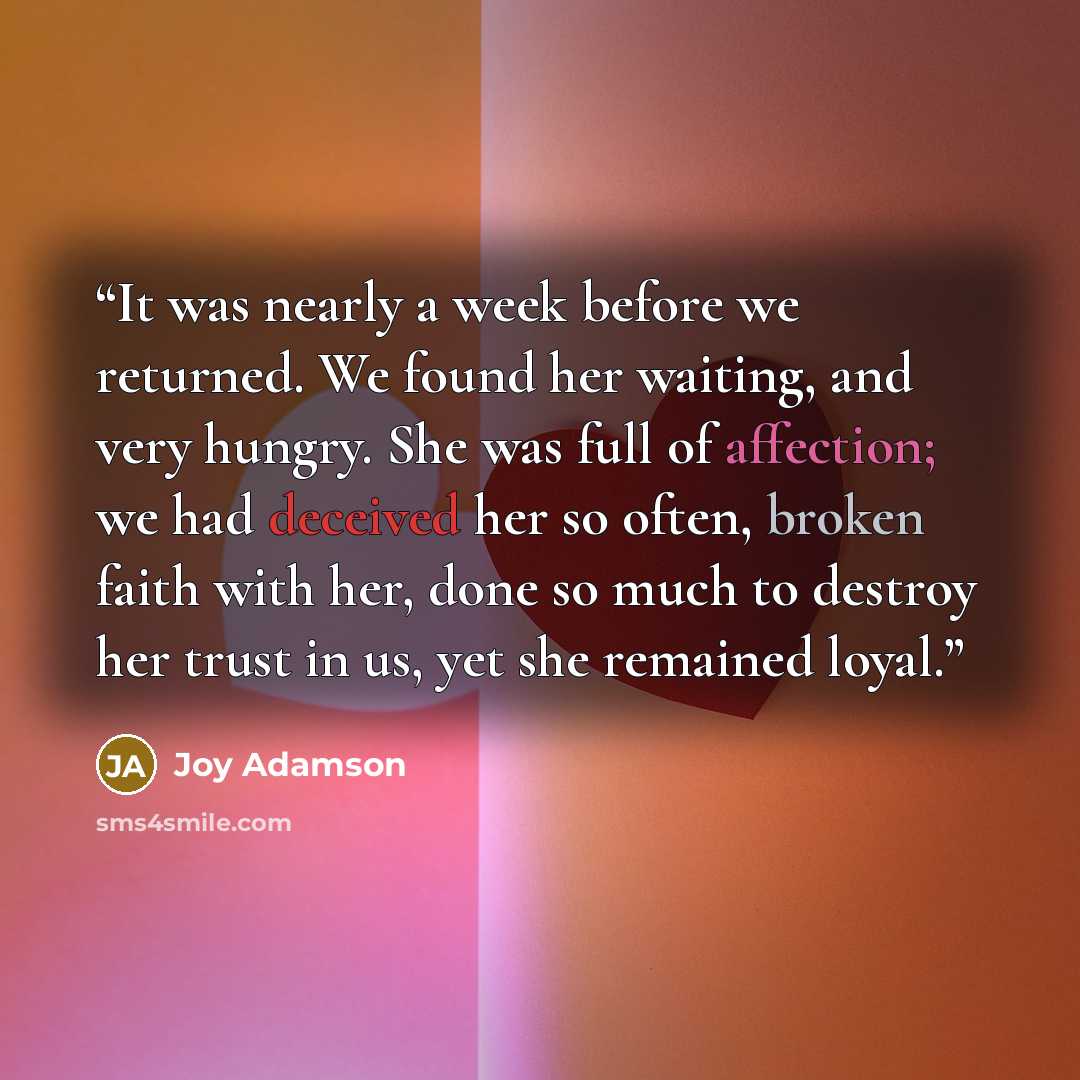 “It was nearly a week before we returned. We found her waiting, and very hungry. She was full of affection; we had deceived her so often, broken faith with her, done so much to destroy her trust in us, yet she remained loyal.” quote by Joy Adamson