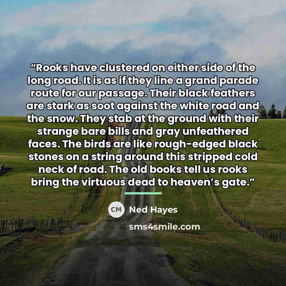 “Rooks have clustered on either side of the long road. It is as if they line a grand parade route for our passage. Their black feathers are stark as soot against the white road and the snow. They stab at the ground with their strange bare bills and gray unfeathered faces. The birds are like…” quote by Ned Hayes