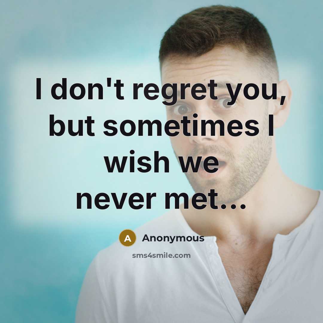 “I don't regret you, but sometimes I wish we never met...” quote by Anonymous