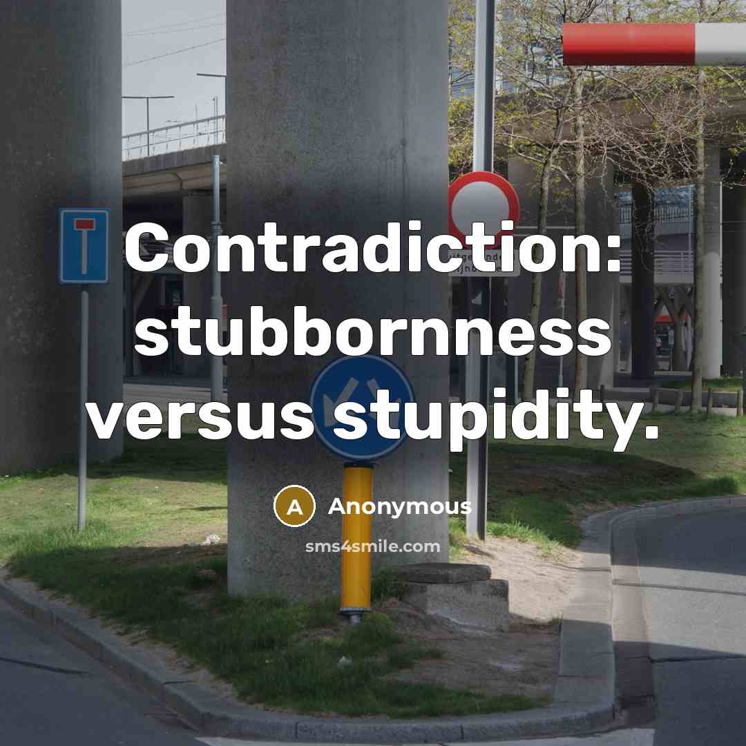 “Contradiction: stubbornness versus stupidity.” quote by Anonymous
