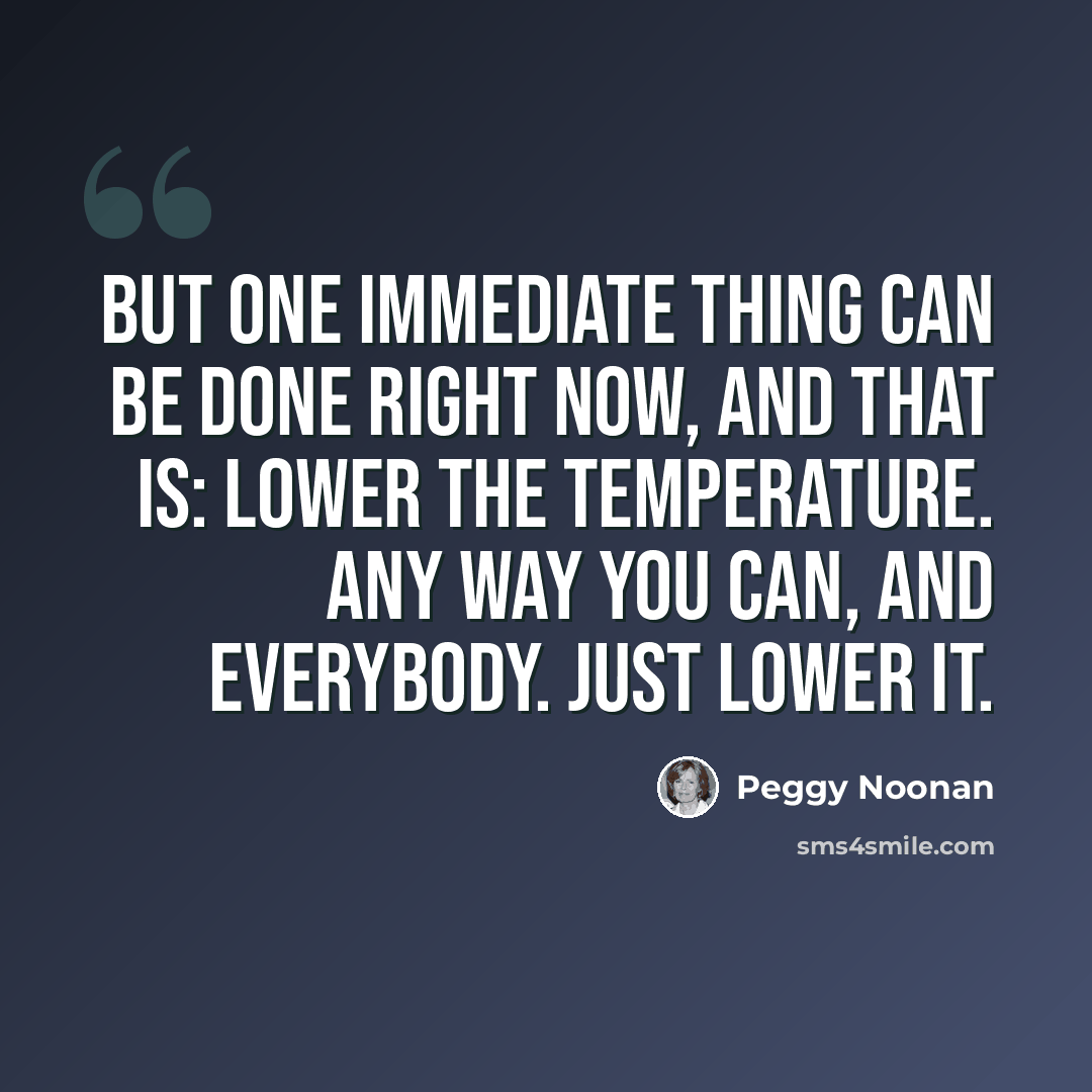 “But one immediate thing can be done right now, and that is: lower the temperature. Any way you can, and everybody. Just lower it.” quote by Peggy Noonan
