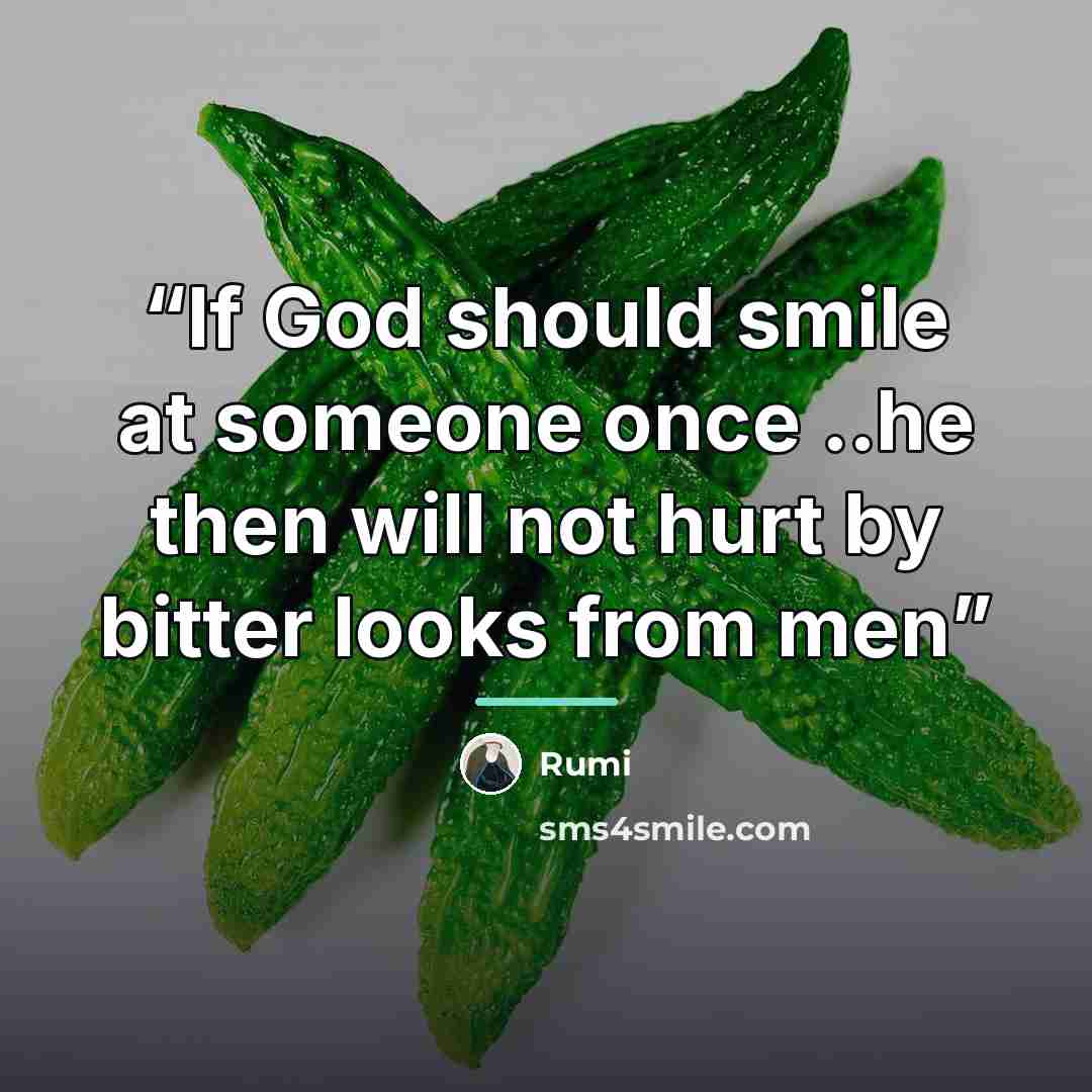 “If God should smile at someone once ..he then will not hurt by bitter looks from men” quote by Rumi
