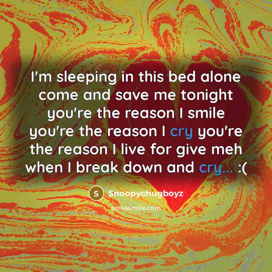 “I'm sleeping in this bed alone come and save me tonight you're the reason I smile you're the reason I cry you're the reason I live for give meh when I break down and cry... :(” quote by Snoopychugboyz