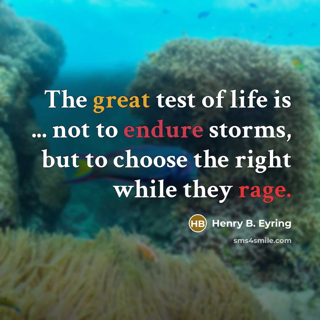 “The great test of life is ... not to endure storms, but to choose the right while they rage.” quote by Henry B. Eyring