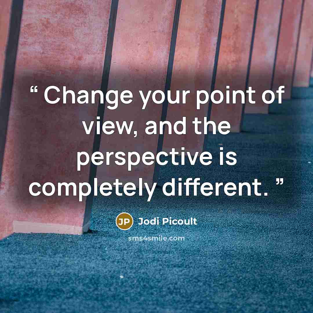 “Change your point of view, and the perspective is completely different.” quote by Jodi Picoult