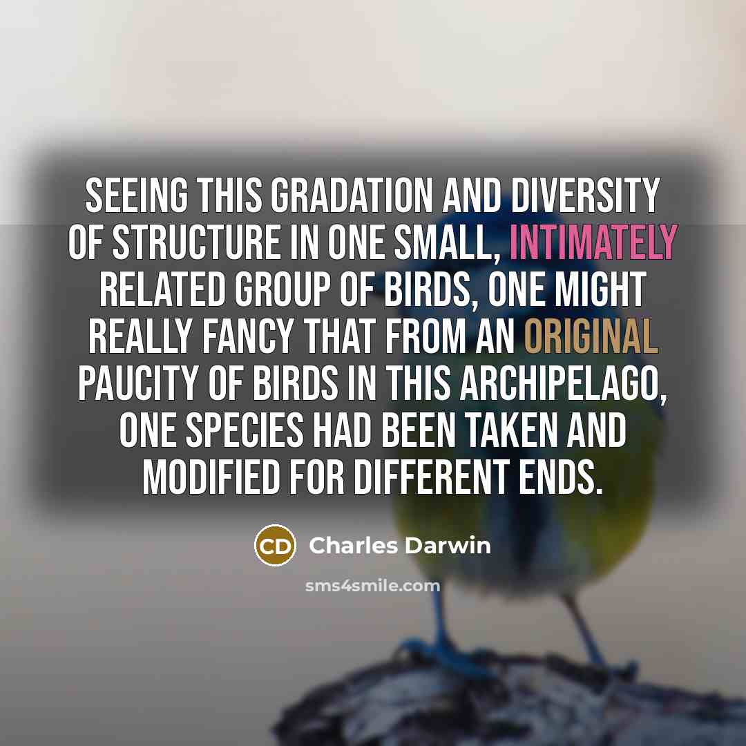 “Seeing this gradation and diversity of structure in one small, intimately related group of birds, one might really fancy that from an original paucity of birds in this archipelago, one species had been taken and modified for different ends.” quote by Charles Darwin