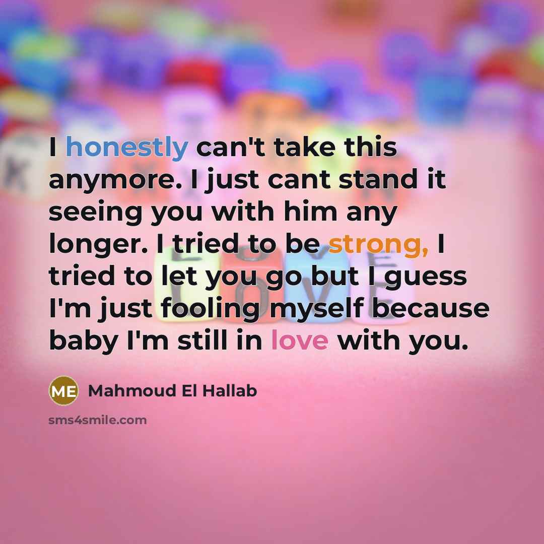 “I honestly can't take this anymore. I just cant stand it seeing you with him any longer. I tried to be strong, I tried to let you go but I guess I'm just fooling myself because baby I'm still in love with you.” quote by Mahmoud El Hallab