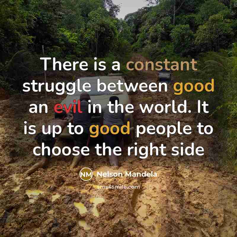 “There is a constant struggle between good an evil in the world. It is up to good people to choose the right side” quote by Nelson Mandela