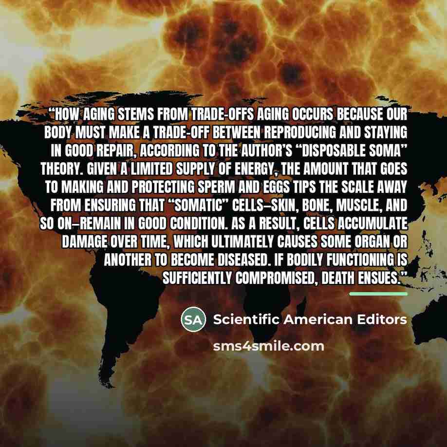 “How Aging Stems from Trade-Offs Aging occurs because our body must make a trade-off between reproducing and staying in good repair, according to the author’s “disposable soma” theory. Given a limited supply of energy, the amount that goes to making and protecting sperm and eggs tips the scale away…” quote by Scientific American Editors