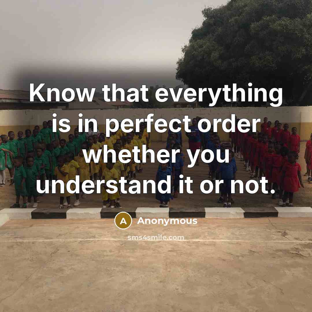 “Know that everything is in perfect order whether you understand it or not.” quote by Anonymous