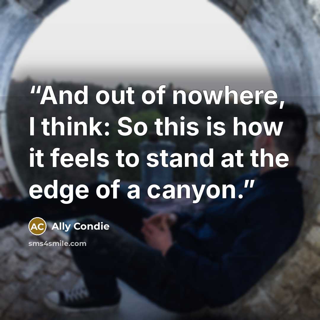 “And out of nowhere, I think: So this is how it feels to stand at the edge of a canyon.” quote by Ally Condie