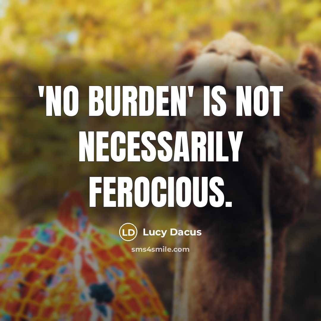 “'No Burden' is not necessarily ferocious.” quote by Lucy Dacus