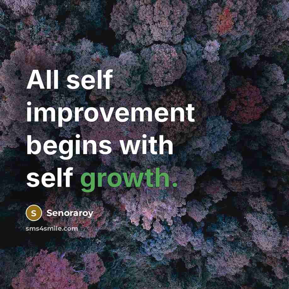 “All self improvement begins with self growth.” quote by Senoraroy