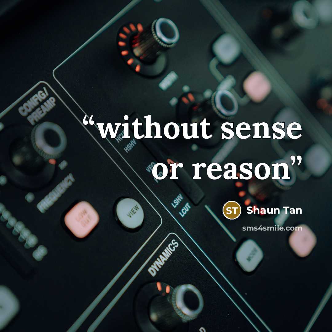 “without sense or reason” quote by Shaun Tan