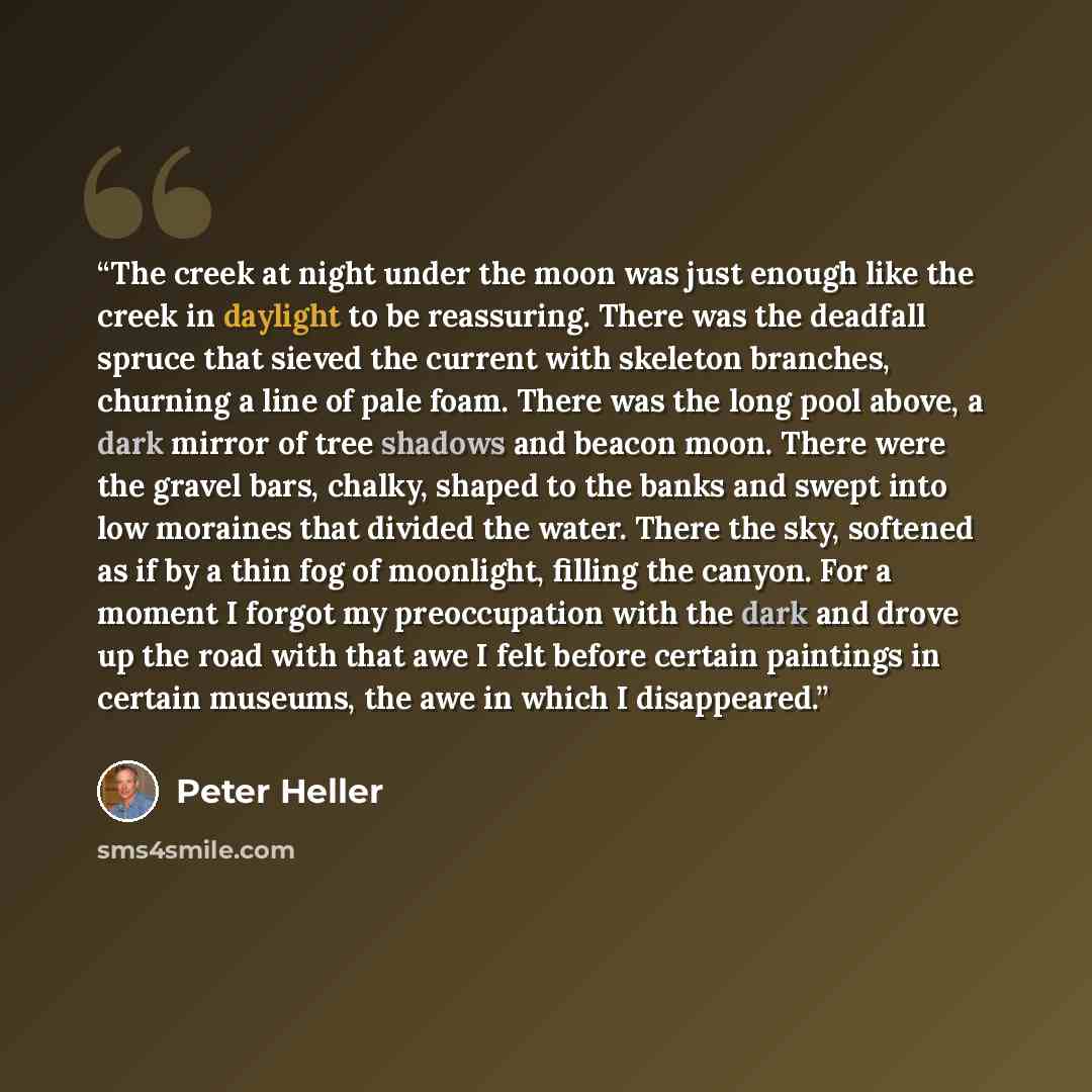 “The creek at night under the moon was just enough like the creek in daylight to be reassuring. There was the deadfall spruce that sieved the current with skeleton branches, churning a line of pale foam. There was the long pool above, a dark mirror of tree shadows and beacon moon. There were the…” quote by Peter Heller