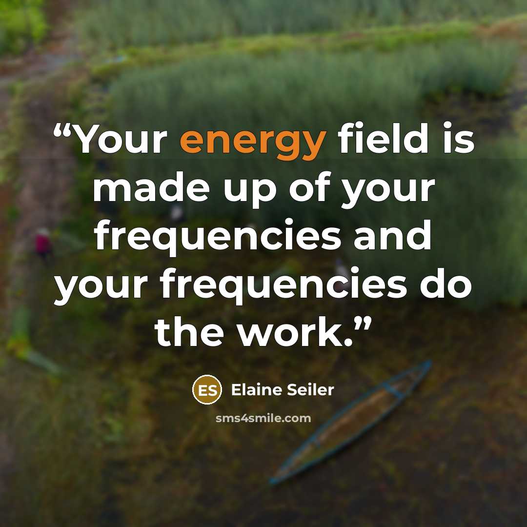 “Your energy field is made up of your frequencies and your frequencies do the work.” quote by Elaine Seiler