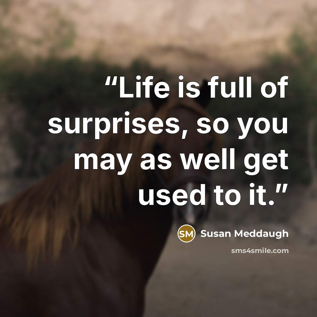 “Life is full of surprises, so you may as well get used to it.” quote by Susan Meddaugh