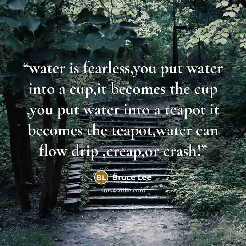 “water is fearless,you put water into a cup,it becomes the cup ,you put water into a teapot it becomes the teapot,water can flow drip ,creap,or crash!” quote by Bruce Lee