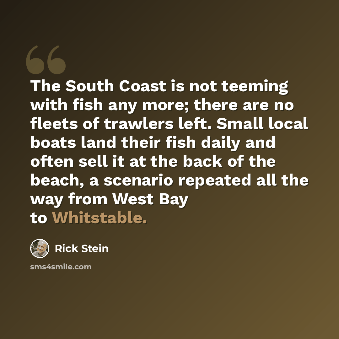 “The South Coast is not teeming with fish any more; there are no fleets of trawlers left. Small local boats land their fish daily and often sell it at the back of the beach, a scenario repeated all the way from West Bay to Whitstable.” quote by Rick Stein