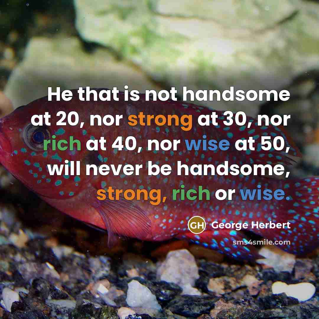 “He that is not handsome at 20, nor strong at 30, nor rich at 40, nor wise at 50, will never be handsome, strong, rich or wise.” quote by George Herbert